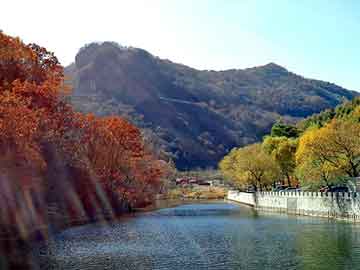 新澳天天开奖资料大全旅游团，钛白粉